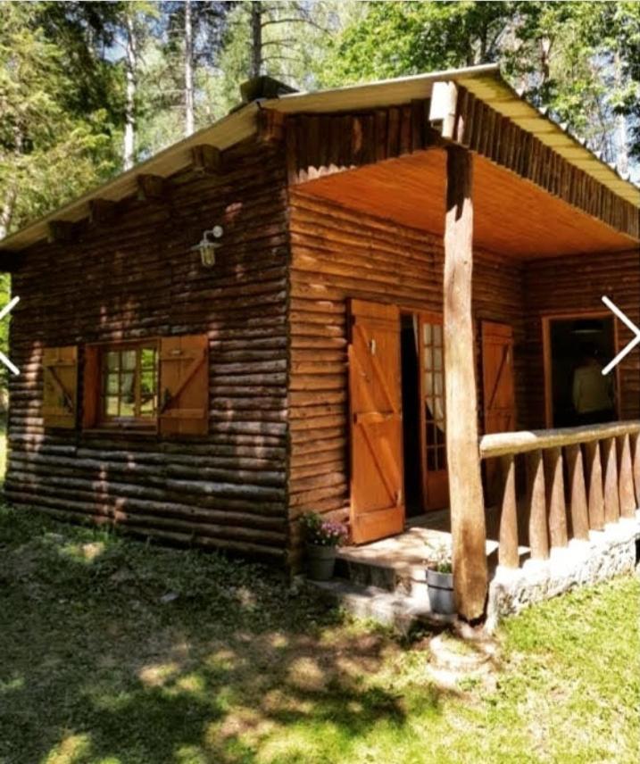 Ma Cabane Au Bord Du Lac Neuvic  Exteriör bild
